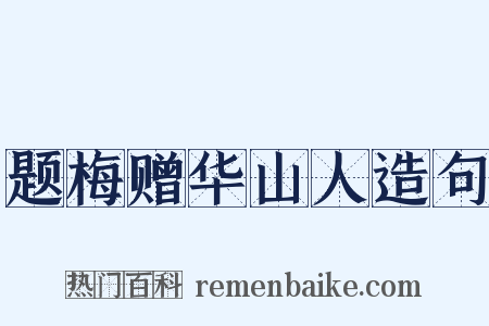 题梅赠华山人造句是什么意思的图片